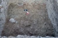 Cronica Cercetărilor Arheologice din România, Campania 2013. Raportul nr. 37