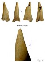 Cronica Cercetărilor Arheologice din România, Campania 2013. Raportul nr. 39.<br /> Sectorul 039-5189-basilica-extra-muros-industria.