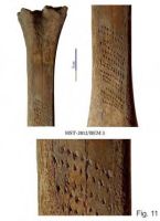 Cronica Cercetărilor Arheologice din România, Campania 2013. Raportul nr. 39.<br /> Sectorul 039-5189-basilica-extra-muros-industria.