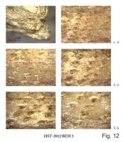 Cronica Cercetărilor Arheologice din România, Campania 2013. Raportul nr. 39.<br /> Sectorul 039-5189-basilica-extra-muros-industria.