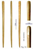 Cronica Cercetărilor Arheologice din România, Campania 2013. Raportul nr. 39.<br /> Sectorul 039-5189-basilica-extra-muros-industria.