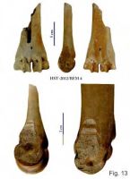 Cronica Cercetărilor Arheologice din România, Campania 2013. Raportul nr. 39.<br /> Sectorul 039-5189-basilica-extra-muros-industria.