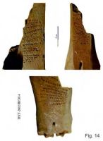 Cronica Cercetărilor Arheologice din România, Campania 2013. Raportul nr. 39.<br /> Sectorul 039-5189-basilica-extra-muros-industria.