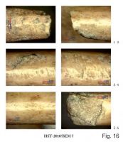 Cronica Cercetărilor Arheologice din România, Campania 2013. Raportul nr. 39.<br /> Sectorul 039-5189-basilica-extra-muros-industria.