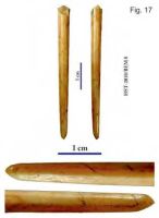 Cronica Cercetărilor Arheologice din România, Campania 2013. Raportul nr. 39.<br /> Sectorul 039-5189-basilica-extra-muros-industria.