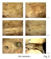 Cronica Cercetărilor Arheologice din România, Campania 2013. Raportul nr. 39.<br /> Sectorul 039-5189-basilica-extra-muros-industria.