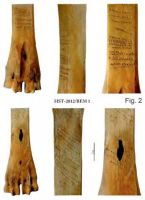Cronica Cercetărilor Arheologice din România, Campania 2013. Raportul nr. 39.<br /> Sectorul 039-5189-basilica-extra-muros-industria.