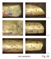 Cronica Cercetărilor Arheologice din România, Campania 2013. Raportul nr. 39.<br /> Sectorul 039-5189-basilica-extra-muros-industria.