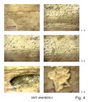 Cronica Cercetărilor Arheologice din România, Campania 2013. Raportul nr. 39.<br /> Sectorul 039-5189-basilica-extra-muros-industria.