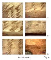 Cronica Cercetărilor Arheologice din România, Campania 2013. Raportul nr. 39.<br /> Sectorul 039-5189-basilica-extra-muros-industria.