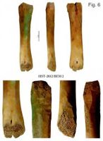 Cronica Cercetărilor Arheologice din România, Campania 2013. Raportul nr. 39.<br /> Sectorul 039-5189-basilica-extra-muros-industria.