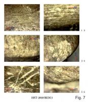 Cronica Cercetărilor Arheologice din România, Campania 2013. Raportul nr. 39.<br /> Sectorul 039-5189-basilica-extra-muros-industria.