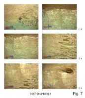 Cronica Cercetărilor Arheologice din România, Campania 2013. Raportul nr. 39.<br /> Sectorul 039-5189-basilica-extra-muros-industria.
