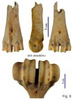 Cronica Cercetărilor Arheologice din România, Campania 2013. Raportul nr. 39.<br /> Sectorul 039-5189-basilica-extra-muros-industria.