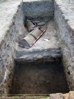 Cronica Cercetărilor Arheologice din România, Campania 2013. Raportul nr. 42