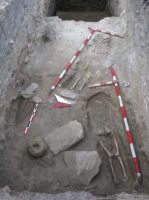 Cronica Cercetărilor Arheologice din România, Campania 2013. Raportul nr. 42