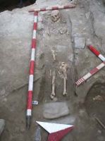 Cronica Cercetărilor Arheologice din România, Campania 2013. Raportul nr. 42
