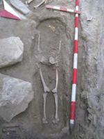 Cronica Cercetărilor Arheologice din România, Campania 2013. Raportul nr. 42