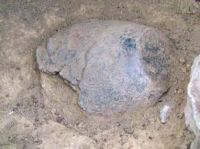 Cronica Cercetărilor Arheologice din România, Campania 2013. Raportul nr. 52