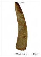 Cronica Cercetărilor Arheologice din România, Campania 2013. Raportul nr. 58.<br /> Sectorul 058-5255-industria.