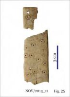 Cronica Cercetărilor Arheologice din România, Campania 2013. Raportul nr. 58.<br /> Sectorul 058-5255-industria.