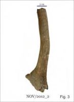 Cronica Cercetărilor Arheologice din România, Campania 2013. Raportul nr. 58.<br /> Sectorul 058-5255-industria.