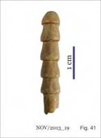 Cronica Cercetărilor Arheologice din România, Campania 2013. Raportul nr. 58.<br /> Sectorul 058-5255-industria.