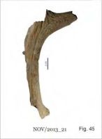 Cronica Cercetărilor Arheologice din România, Campania 2013. Raportul nr. 58.<br /> Sectorul 058-5255-industria.