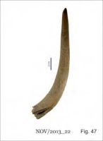 Cronica Cercetărilor Arheologice din România, Campania 2013. Raportul nr. 58.<br /> Sectorul 058-5255-industria.