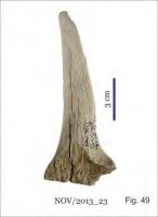 Cronica Cercetărilor Arheologice din România, Campania 2013. Raportul nr. 58.<br /> Sectorul 058-5255-industria.