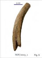 Cronica Cercetărilor Arheologice din România, Campania 2013. Raportul nr. 58.<br /> Sectorul 058-5255-industria.