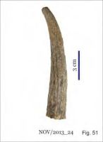 Cronica Cercetărilor Arheologice din România, Campania 2013. Raportul nr. 58.<br /> Sectorul 058-5255-industria.