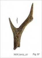 Cronica Cercetărilor Arheologice din România, Campania 2013. Raportul nr. 58.<br /> Sectorul 058-5255-industria.