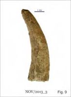Cronica Cercetărilor Arheologice din România, Campania 2013. Raportul nr. 58.<br /> Sectorul 058-5255-industria.