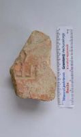 Cronica Cercetărilor Arheologice din România, Campania 2013. Raportul nr. 67