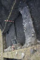 Cronica Cercetărilor Arheologice din România, Campania 2013. Raportul nr. 69