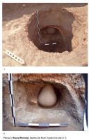 Cronica Cercetărilor Arheologice din România, Campania 2013. Raportul nr. 73.<br /> Sectorul 6454-sectorul-de-nord.