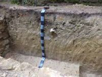Cronica Cercetărilor Arheologice din România, Campania 2013. Raportul nr. 79