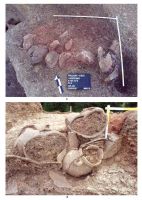 Cronica Cercetărilor Arheologice din România, Campania 2013. Raportul nr. 84