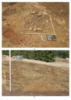 Cronica Cercetărilor Arheologice din România, Campania 2013. Raportul nr. 84