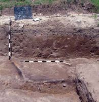 Cronica Cercetărilor Arheologice din România, Campania 2013. Raportul nr. 86