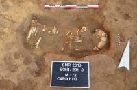 Cronica Cercetărilor Arheologice din România, Campania 2013. Raportul nr. 88