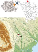 Cronica Cercetărilor Arheologice din România, Campania 2013. Raportul nr. 91