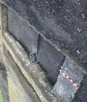 Cronica Cercetărilor Arheologice din România, Campania 2013. Raportul nr. 96