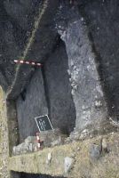 Cronica Cercetărilor Arheologice din România, Campania 2013. Raportul nr. 96