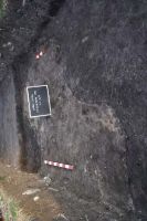 Cronica Cercetărilor Arheologice din România, Campania 2013. Raportul nr. 96