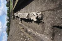 Cronica Cercetărilor Arheologice din România, Campania 2013. Raportul nr. 96