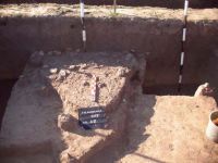 Cronica Cercetărilor Arheologice din România, Campania 2013. Raportul nr. 99