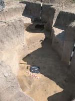 Cronica Cercetărilor Arheologice din România, Campania 2013. Raportul nr. 99