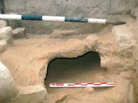 Cronica Cercetărilor Arheologice din România, Campania 2013. Raportul nr. 99